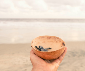 Symbol für Loslassen alter Muster und innere Entlastung